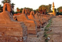 Tahrir Square, the new open-air museum in Egypt dennis jarvis flickr