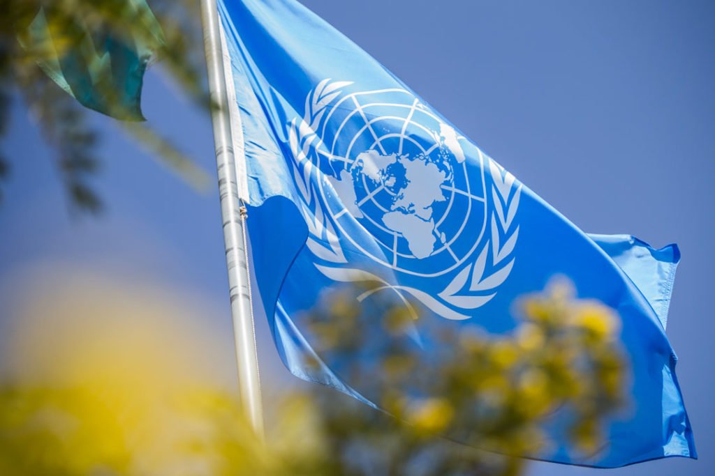 bandeira da onu
