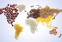 Food Crisis: COVID-19 offers new risks for vulnerable countries